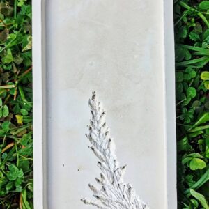 Tál növény mintával